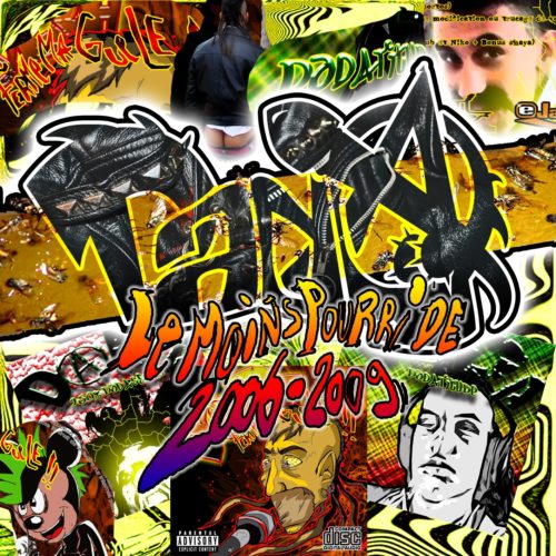 Le moins pourri de 2006-2009 (Electro-punk)