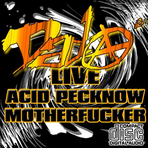 Acid Pecknoww Motherfucker (Live Acidtechno 2012)