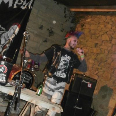 Boeuf Punk le Vivier Bretagne 2015