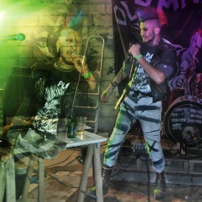 Boeuf Punk le Vivier Bretagne 2015